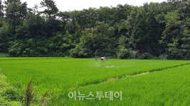 향원항공방제 | 사천시, 벼 병해충 항공방제 추진