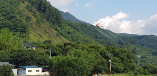 산청군, 밤나무병해충 항공방제 실시