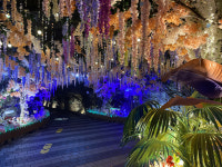 광명동굴, 야간개장 앞두고 동굴 속 화원으로 새단장