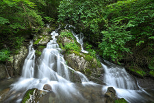 정선 항골계곡 생태탐방로 명칭 항골 숨바우길 확정