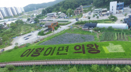 의왕 백운호수 왕송호수, 벼아트·연꽃 볼거리