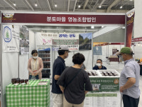 동해 분토마을 막장 등 강원푸드박람회서 인기