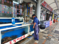 동해 묵호항 주변 횟집 식중독균 검사 모두 적합