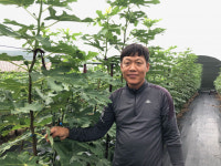 전남도, 신비의 과일 무화과...8월 친환경농산물에 선정