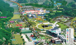 함양산삼축제, Hi-산삼, 당신의 젊음을 응원합니다