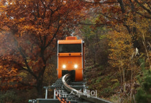 함양산삼축제도 즐기고 모노레일도 타면서 힐링하세요