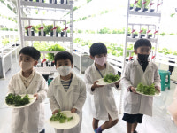 울주군 어린이급식관리지원센터, 스마트팜 체험 실시