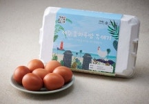 롯데마트, 제주 생산 두부·계란 매장서 판매