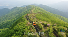 함양대봉산휴양밸리, 추석 흥행 대박났네