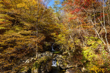 정선군, 황골 숨바우길 7.7km 조성…27일 개통식