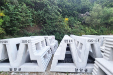 양양군, 물치리 앞바다에 문어 서식 산란장 조성