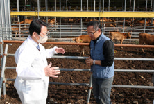 강진군, 녹색목장 한우 당대검정 후보씨수소 최종 선발