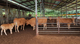 전남도, 2023년 녹색축산육성기금 200억 지원