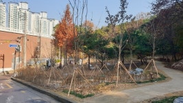 수원시, 숙지공원에 생태숲 조성