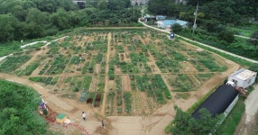 용인특례시, 공세동 시민농장 텃밭 분양
