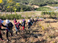 완도군, 2023 조림 사업 본격 착수...14억 투입 8만4000본 식재