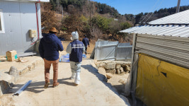 경기도 동물위생시험소, 환절기 맞아 돼지유행성설사 재유행 우려…강화된 차단방역 추진