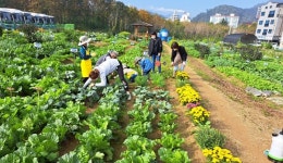 용인특례시, 시민농장 텃밭 분양 2000여 명 몰려..2.5대1