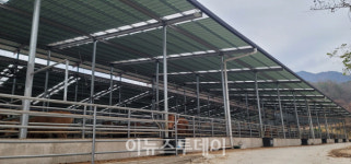 거창군, 소비 위축과 경영난 겪는 축산농가 지원