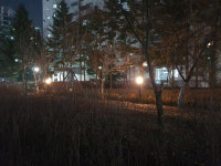 고양특례시, 백마·마두·강촌공원 조도개선 공사 착수