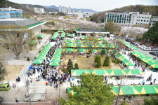 조폐공사 화폐박물관, 나눔과 기부의 벚꽃 페스티벌 개최