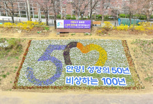 안양시, 안양천ㆍ학의천 산책로 봄꽃 단장