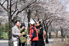 김동근 시장, 입석마을에서 주민과 함께 벚꽃길 걸으며 봄의 청취 만끽