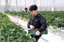 전남도, 스마트 청년농업인 1만 명 육성 속도