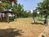 정기명 여수시장, 미평공원에 반려견 놀이터 23일 개장