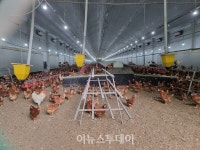 거창군, 여름철 가축피해 예방 활동으로 재해 발생 차단에 총력