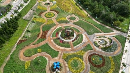 [포토] 인제 가을꽃축제장 손님 맞이 준비끝