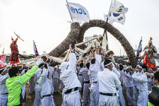 영월 칡줄다리기 강원특별자치도 무형문화재 지정