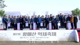 합천 황매산 억새축제...은빛 여정 시작
