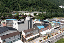 정선의 숨은 비밀 푼다…고한 야생화마을 추리본부 인기