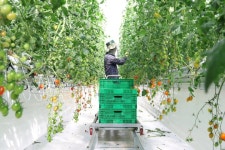 고흥 스마트팜 혁신밸리, 청년농 육성 거점 톡톡