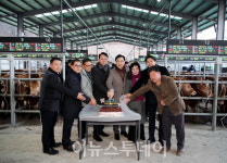하동축협, 갑진년 송아지 경매시장 개장
