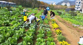 용인특례시, 시민농장 참여 시민·단체 794팀 모집