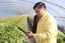 이상근 고성군수, 주키니호박 수확 현장 방문