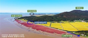 인천시, 강화 석모도 칠면초 해안 산책로 개방