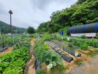 의왕시, 행복가꿈 주말농장 분양... 19~22일 신청
