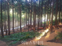 사천시, 피톤치드 우리 집으로 이벤트