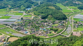 산청 남사예담촌의 품격 있는 매화가 전하는 봄 향기