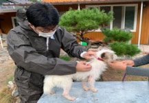 여주시, 춘계 광견병 예방접종 실시