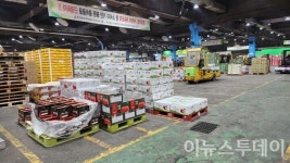 [현장] 과일값 제동? 도매가는 여전했다