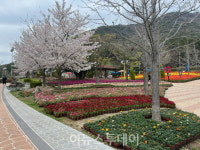 [포토]봄향기 만연한 거제 독봉산 웰빙공원