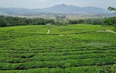전남도, 유기농업 지속 확산···생태마을 신규 모집