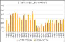 횡성군, 오이 비룟값 절감 관비 재배 기술 개발