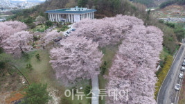 진주시립도서관, 다채로운 문화·체험 프로그램 운영