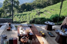 하동 다실, 모바일 스탬프 투어 시작