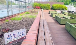 수원 영통구보건소, 치유농업 프로그램 유(愉).기.농 진행